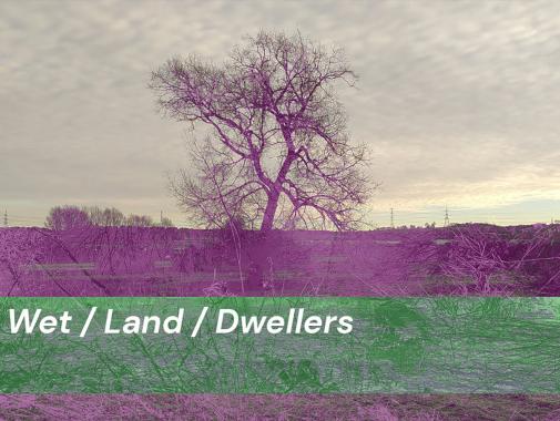 WET / LAND / DWELLERS -